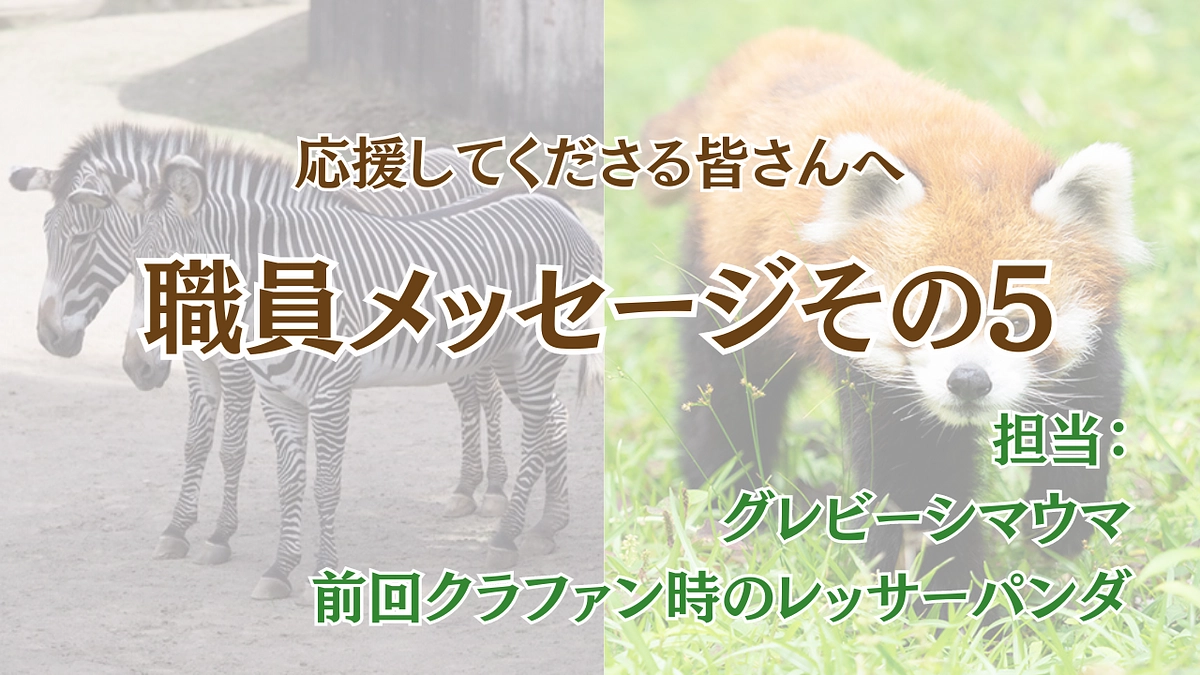 職員メッセージ第五弾〜職員から皆様に届ける思い〜