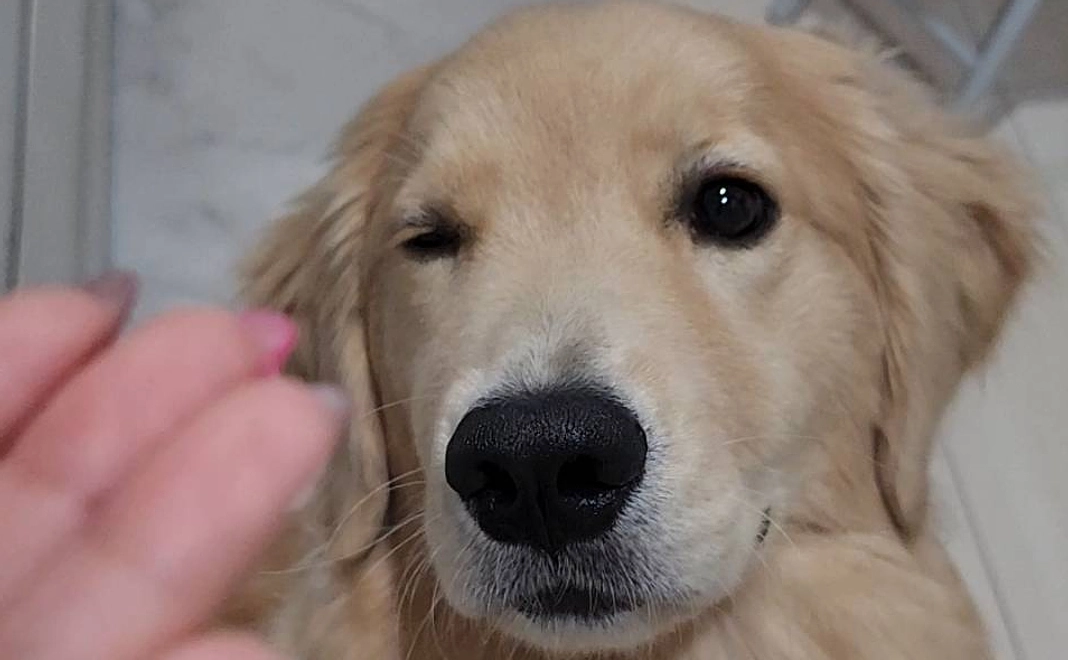 リターンなし【1,000円】