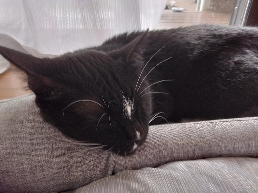 6/16はなちゃんの様子