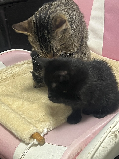 残り3日となりました!