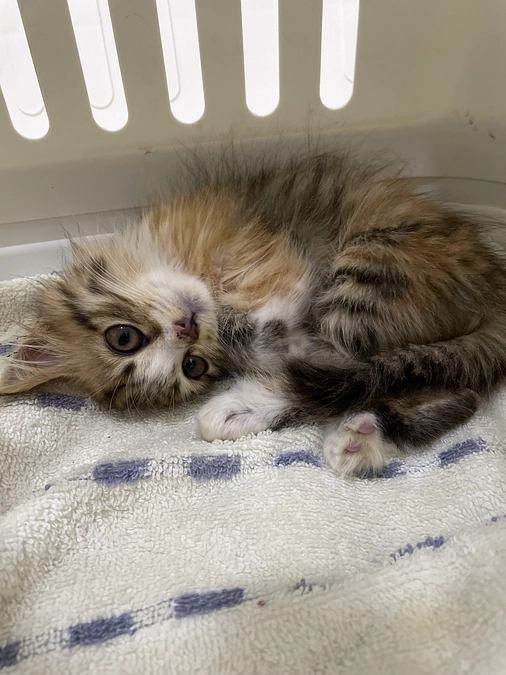 2021.09....生命の重さ、大切さを痛感した時期