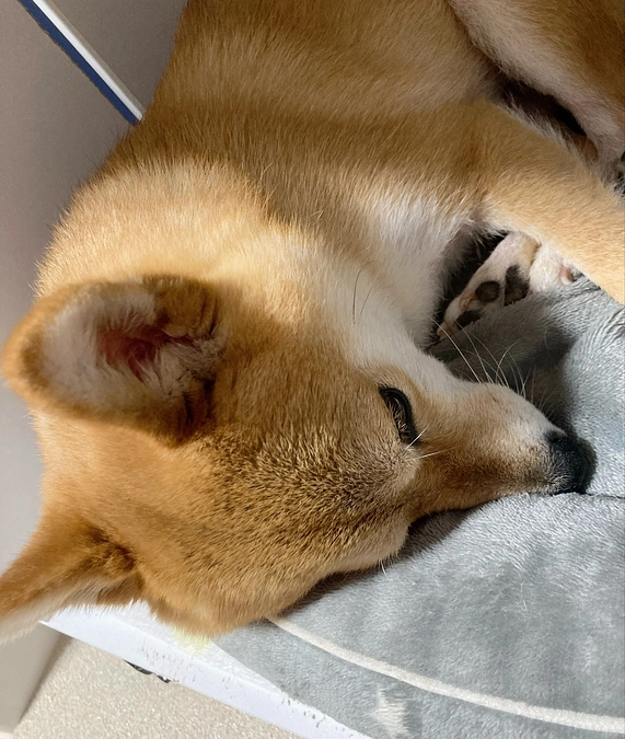 2週間切りました！