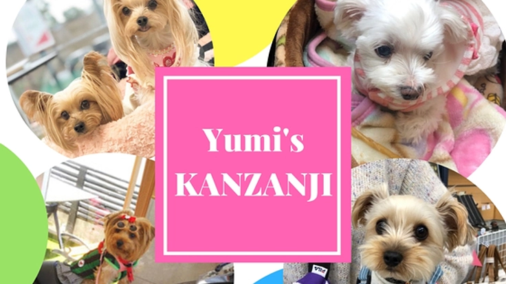 舘山寺をワンちゃんにやさしいまちに！室内ドックランを作りたい