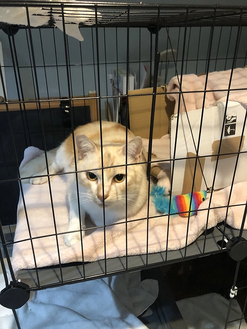 89000円ありがとうございます。