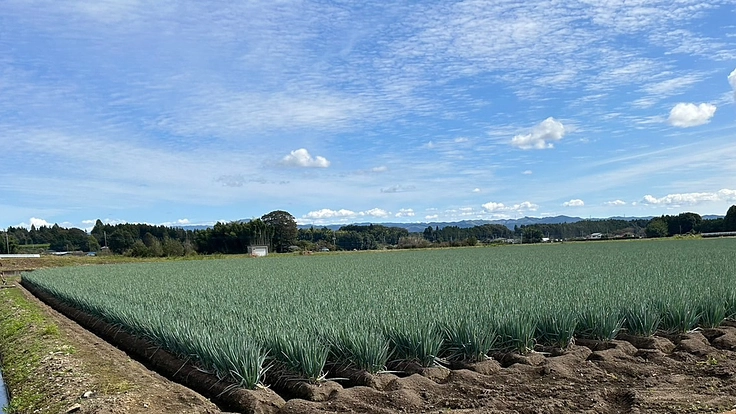 地域の高齢畑作農家の重作業を減らしてあげたい！