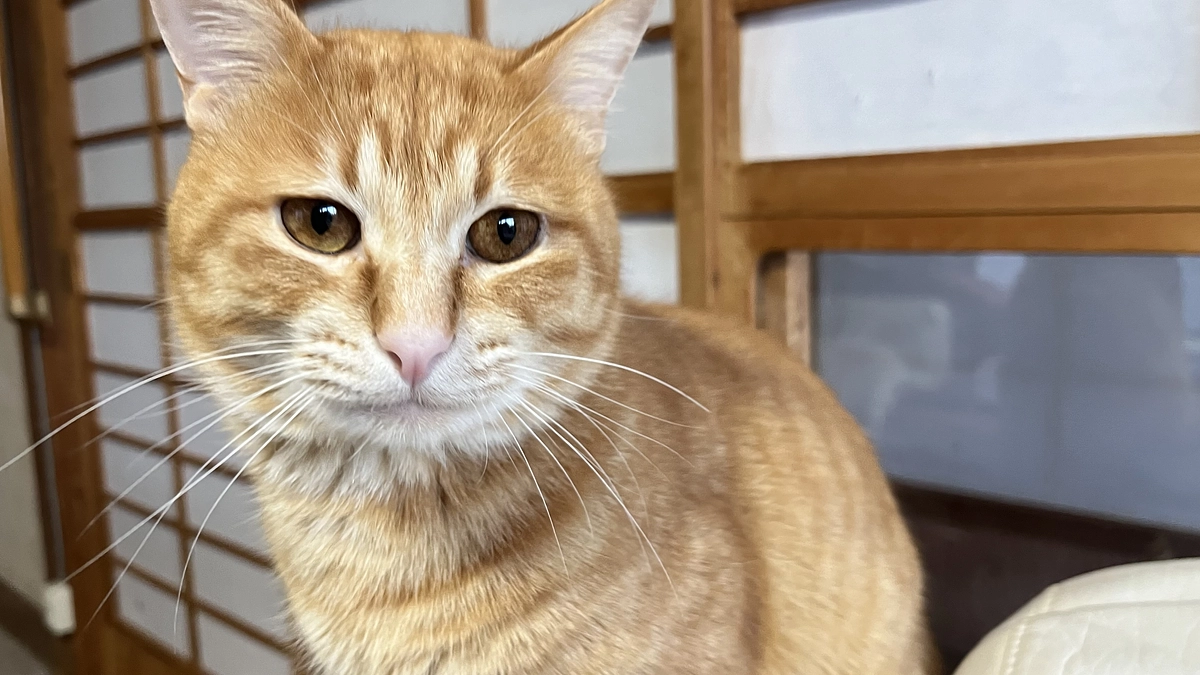 ご支援のお礼と報告とお願い🙇‍♂️