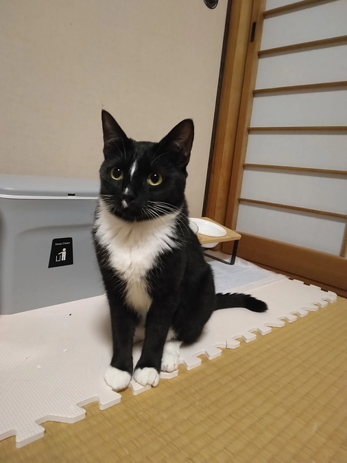 4/10はなちゃんの様子