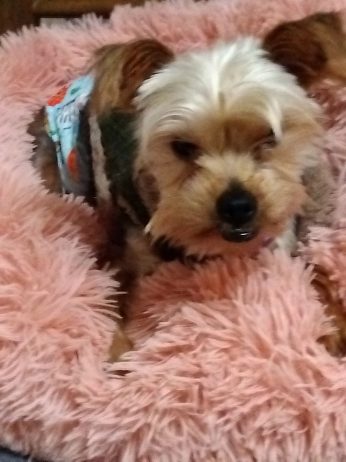 今朝から嘔吐を繰り返して