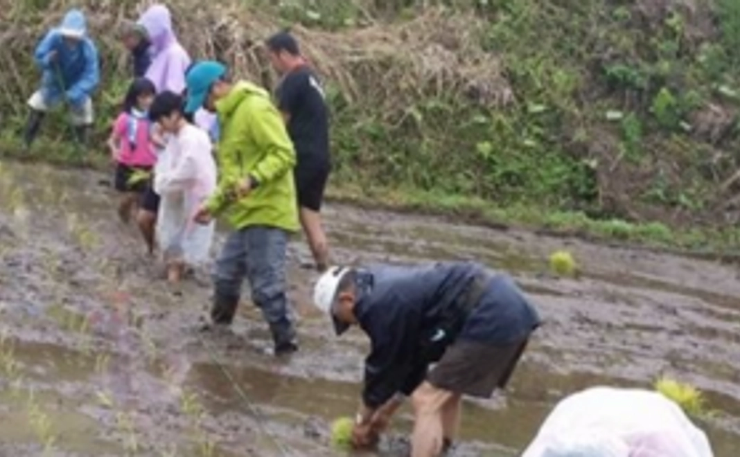 田ノ口 3,000円支援コース