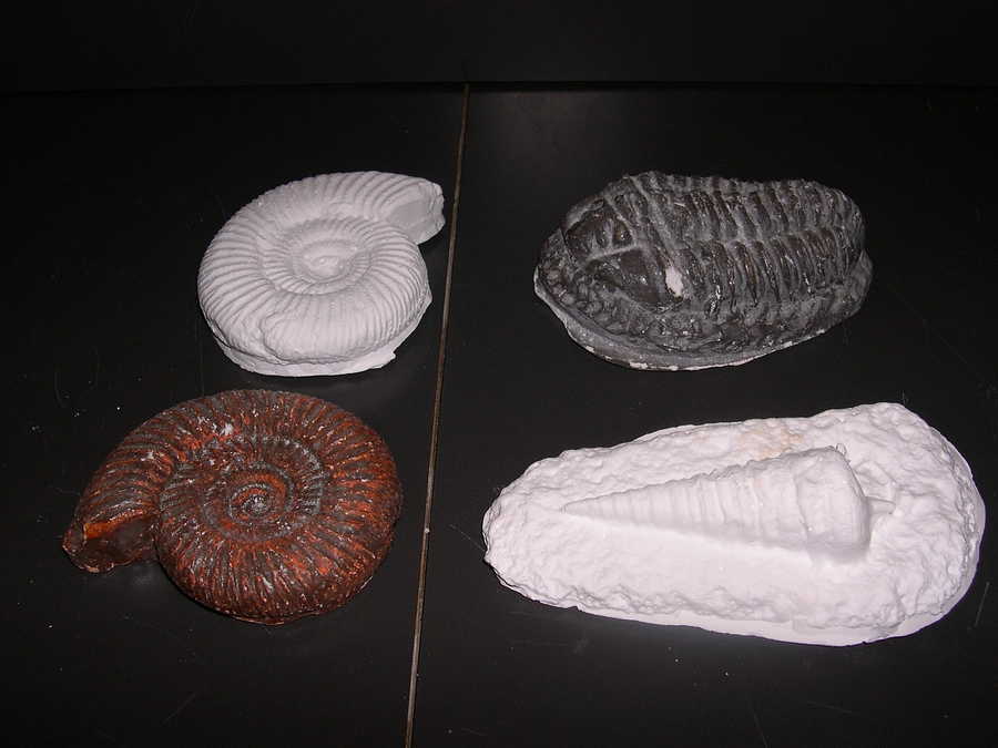 【リターン紹介⑭】スペシャルツアーの紹介③