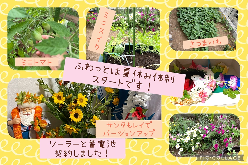 ソーラー契約&夏休みスタートしました！