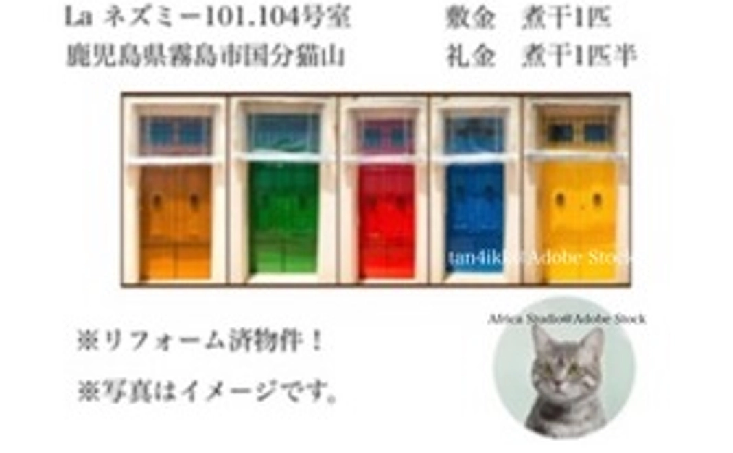 保護猫専用アパート仲介業　　　猫山不動産始動応援5000円コース