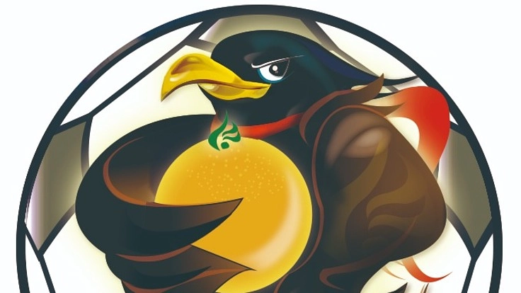 高知のサッカー少年が成長する機会を！第7回八咫烏CUP開催！