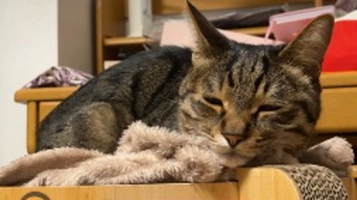 【インスタライブ】