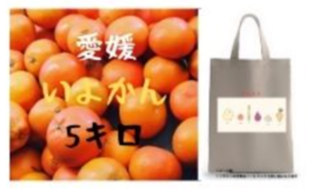 伊予柑5キロ＋オリジナルトートバック
