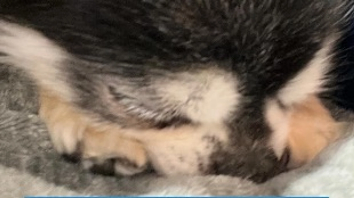 ご支援ありがとうございます！