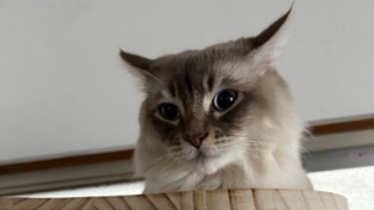 病院にいってきました。