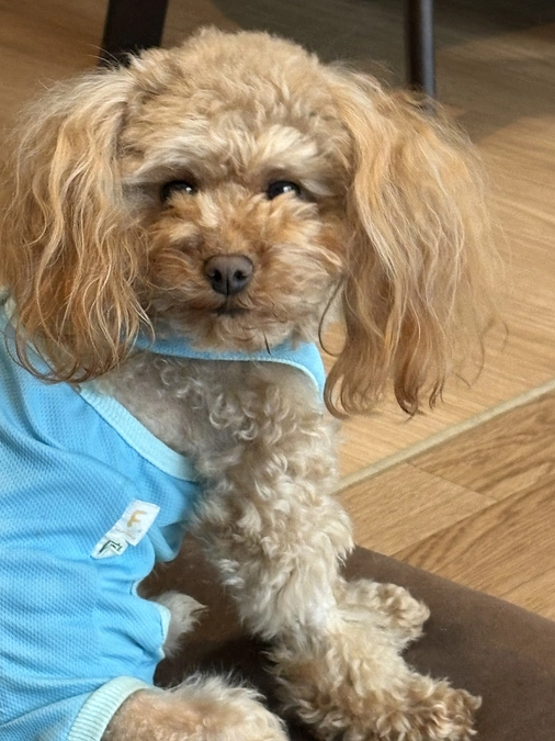 １１月１日のゆむ君