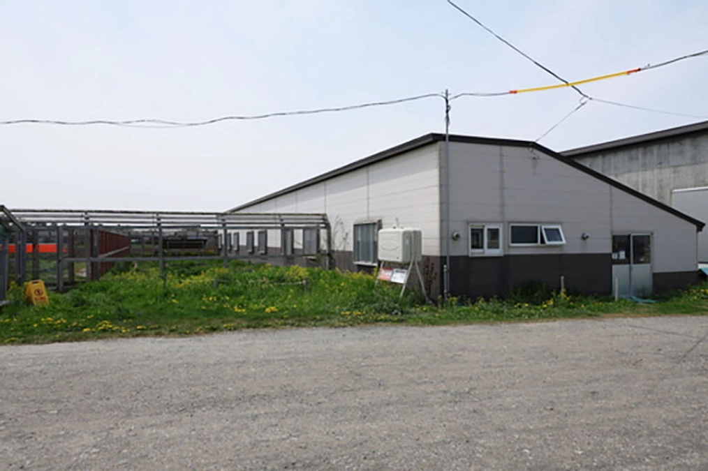 ネクストゴールで　旧犬舎の修繕工事を実施したい