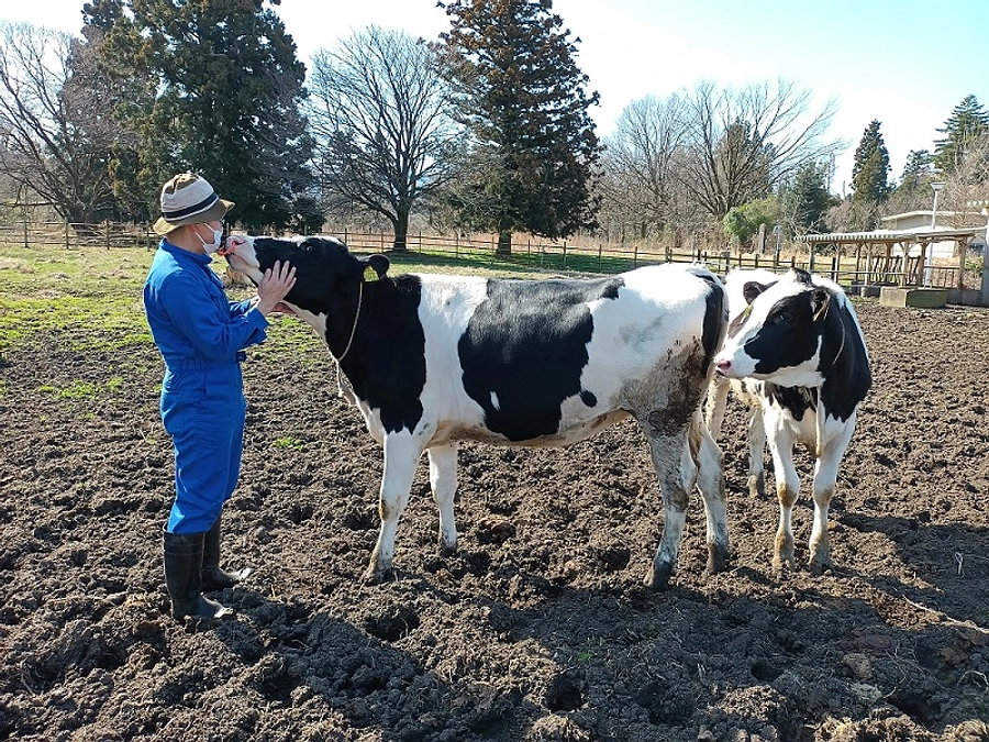 プロジェクト成立の御礼