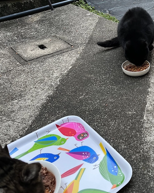 【活動報告】能登半島沖地震②