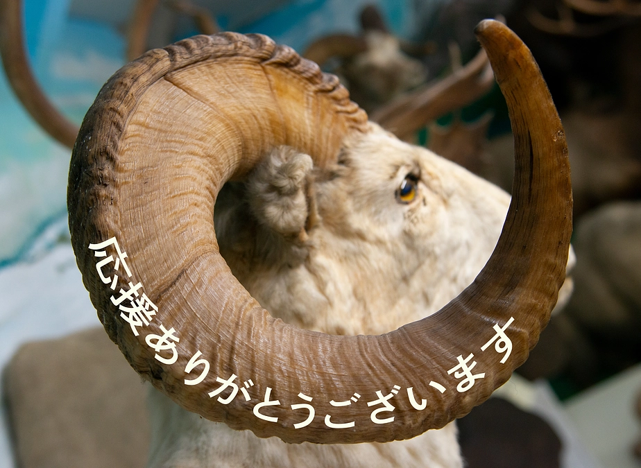 残り約3週間！応援コメントのご紹介