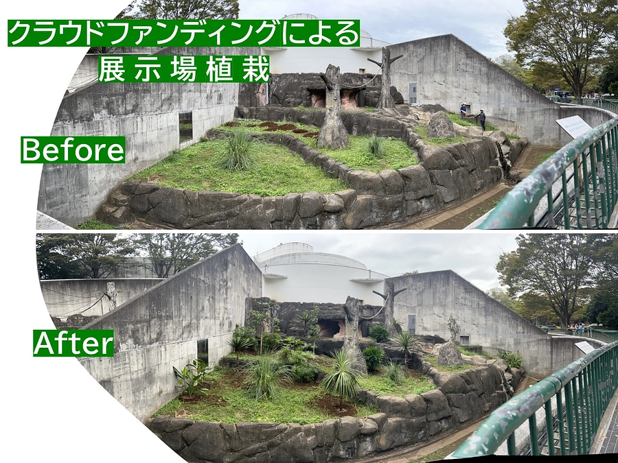 モンタとローラの展示場植栽について