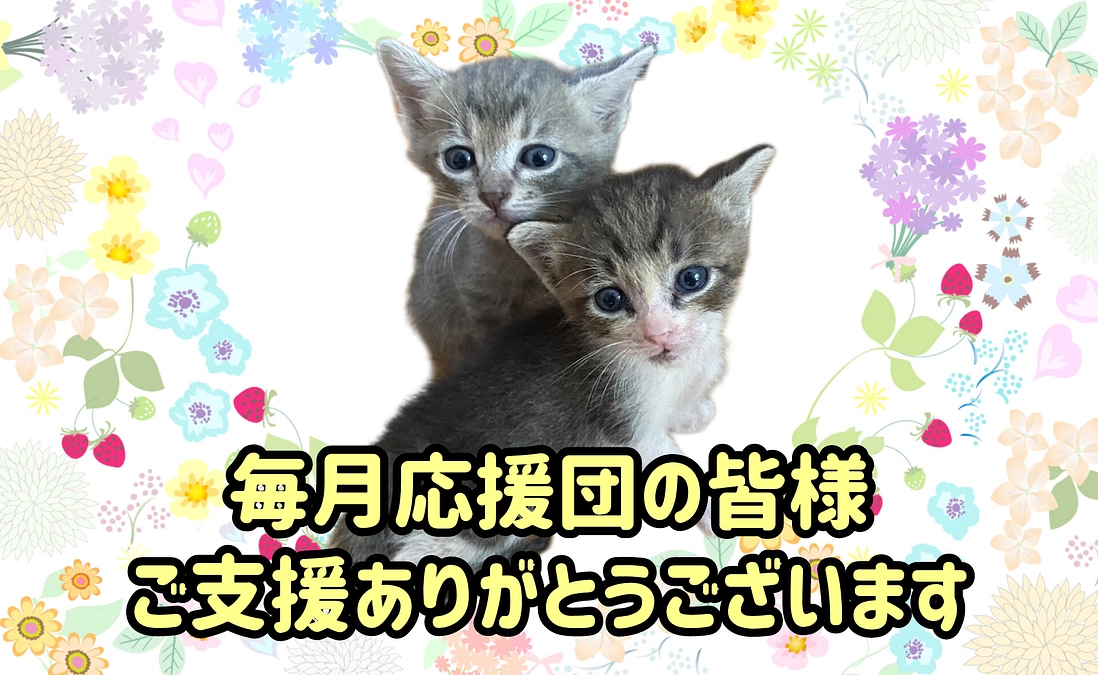 4月も応援ありがとうございました！