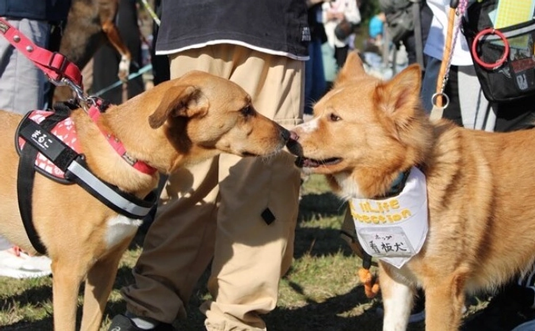 リターンのご紹介！〜宿泊施設ご利用権〜