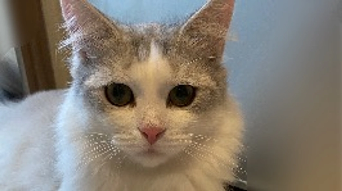 体重増えました🎉