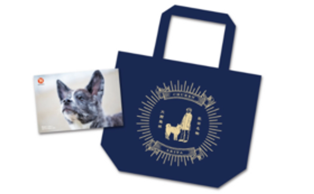 秋田犬のデザインランチトートバッグ（秋田犬ポストカード付）