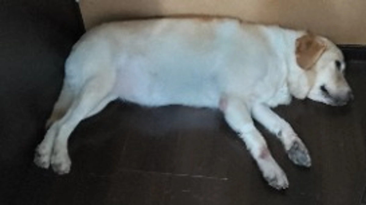 ありがとうございます!