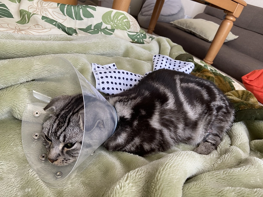 2023.6.7🔥 #闘病生活 50日目🔥