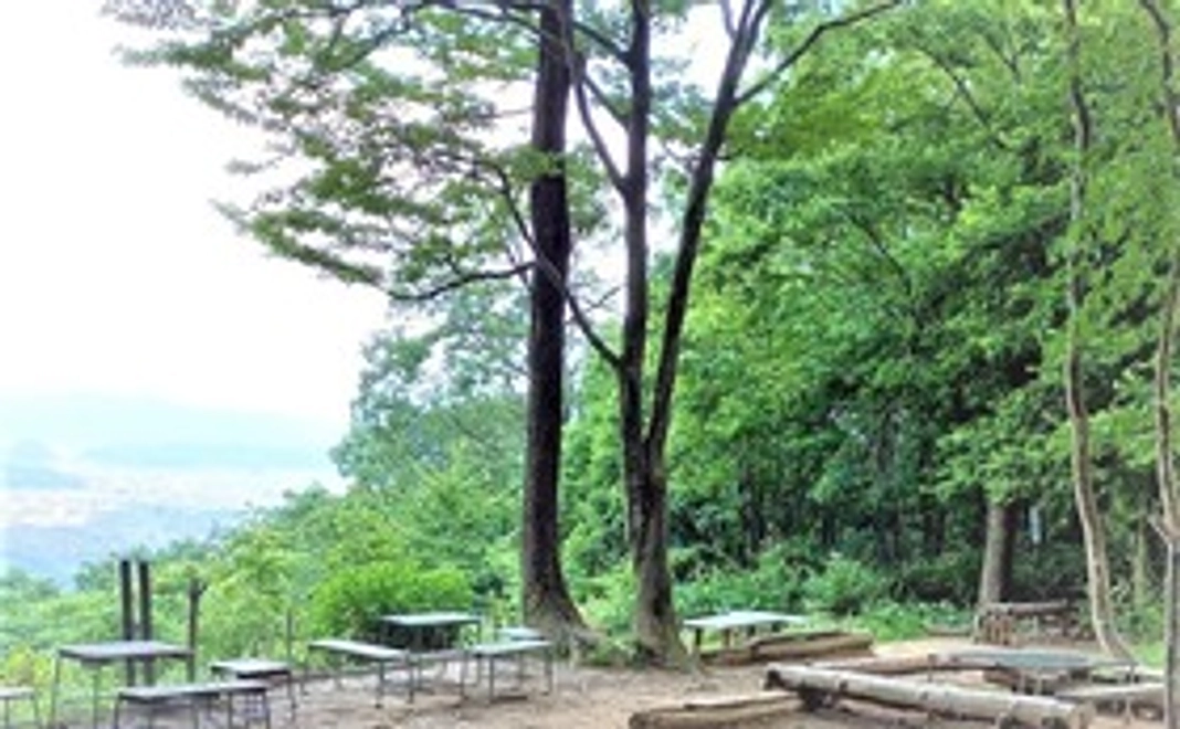 【福井市外の方向け】下市山頂上広場で記念植樹