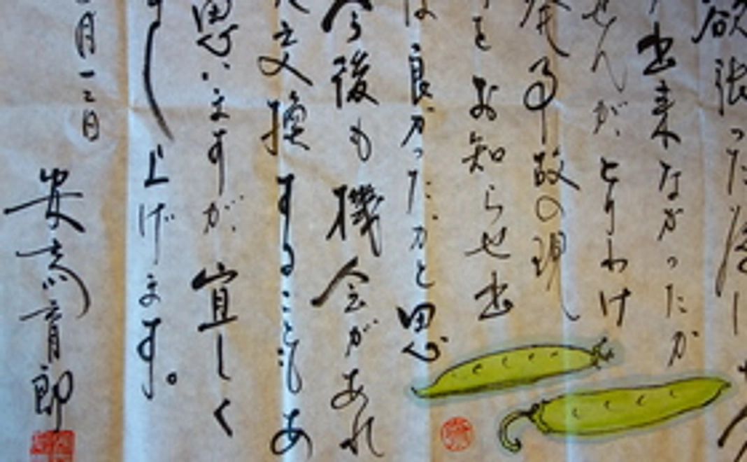 【数量限定5個】安斎育郎氏による直筆の絵手紙