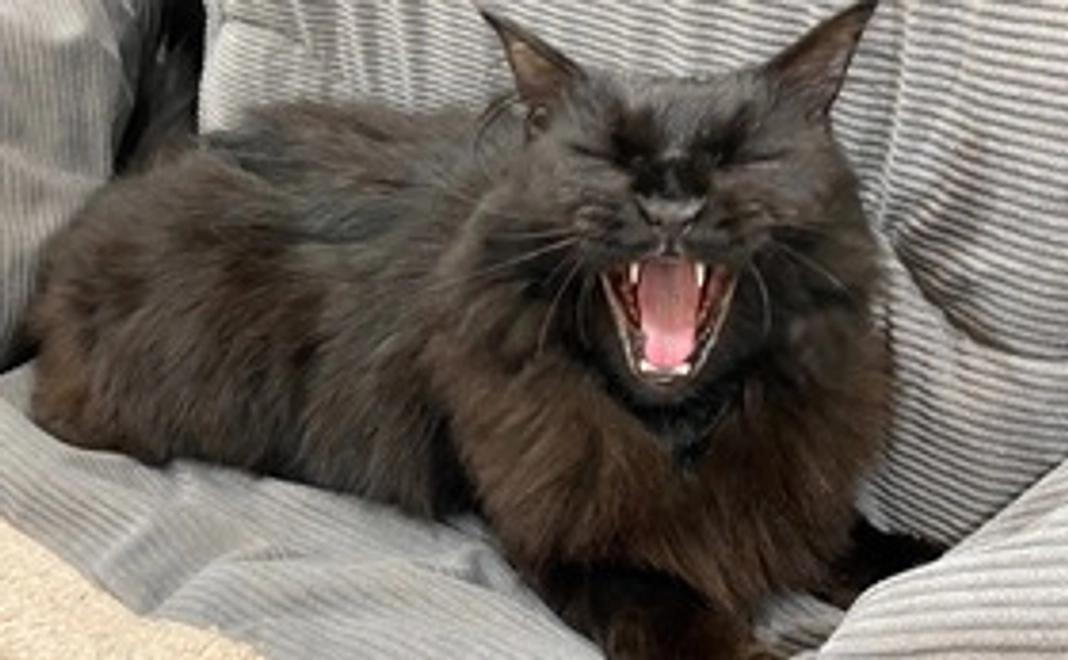 ☆ルー応援　３０００