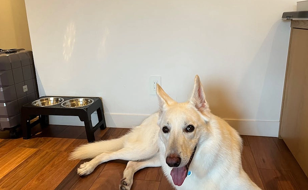 レオン応援２　有難うございます。