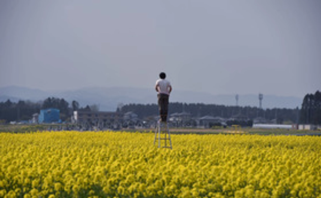 【ポストカードで感謝の気持ちを】