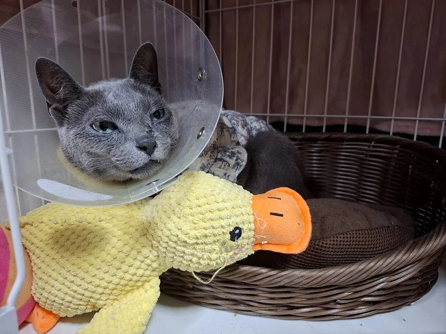 今日も無事に放射線治療が終わりました。