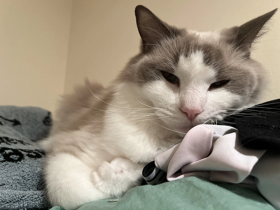 天気が悪い日は