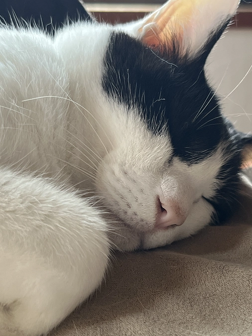 【あと14日】25日目の朝