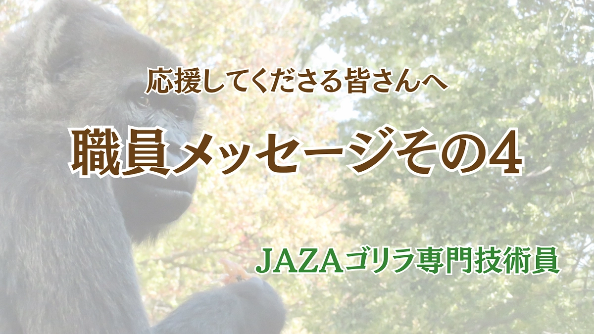 職員メッセージ第四弾〜職員から皆様に届ける思い〜