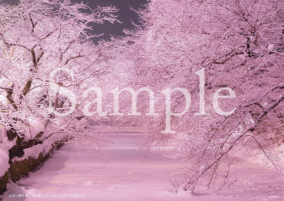 リターンのご案内：ポストカード、クリアファイル他