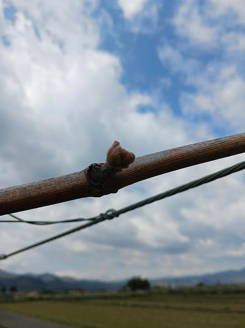 ちょっと早いラストスパートです