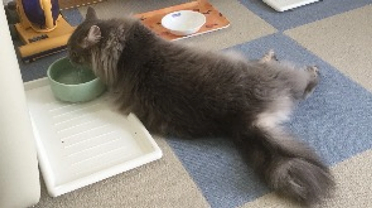 ㊗️ネクストゴール達成です！！！！！