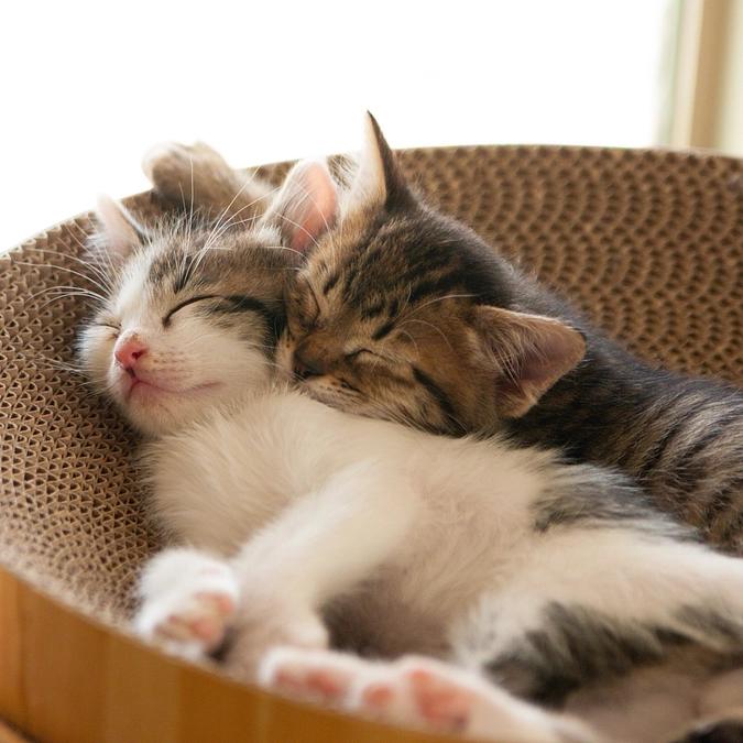 【のこり8日】31日目の朝