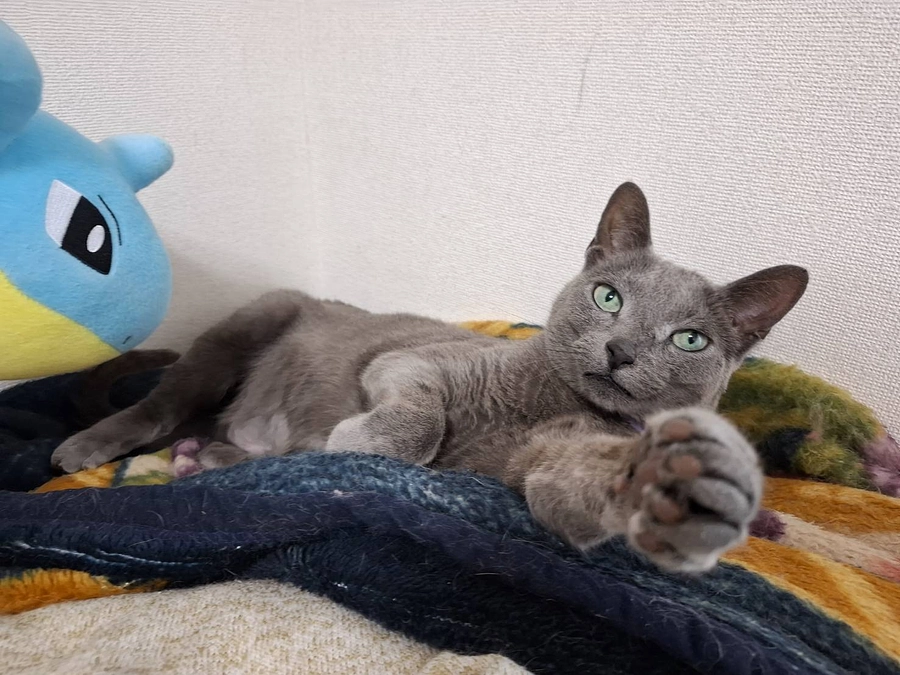 本日は放射線治療はお休みです。