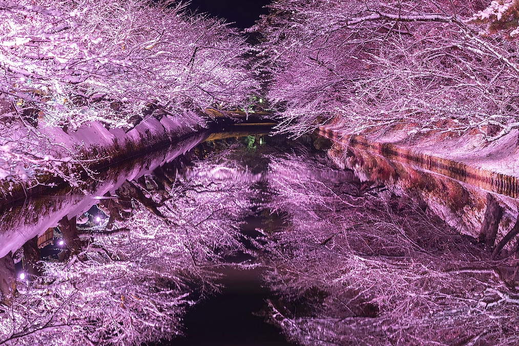 雪燈籠まつり期間は「見頃の水鏡」となりました！！