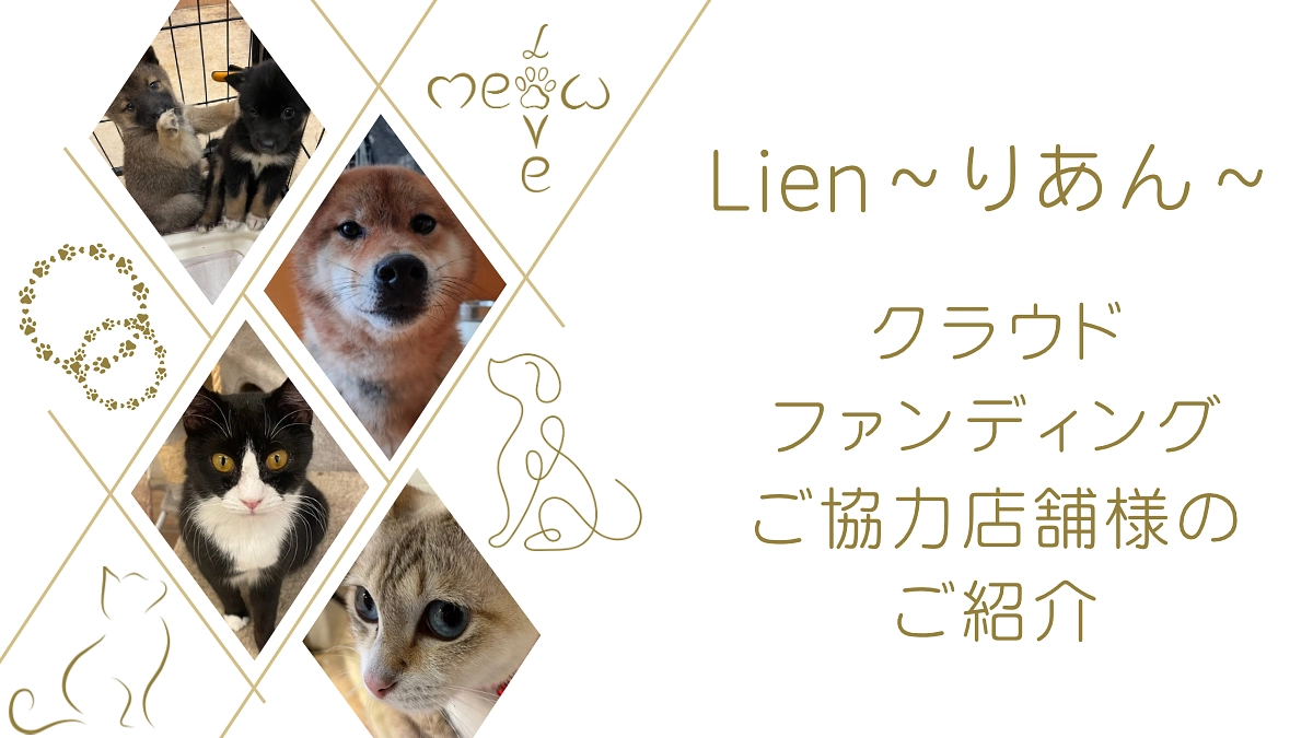 プロジェクトへのご支援・ご協力店舗様のご紹介③