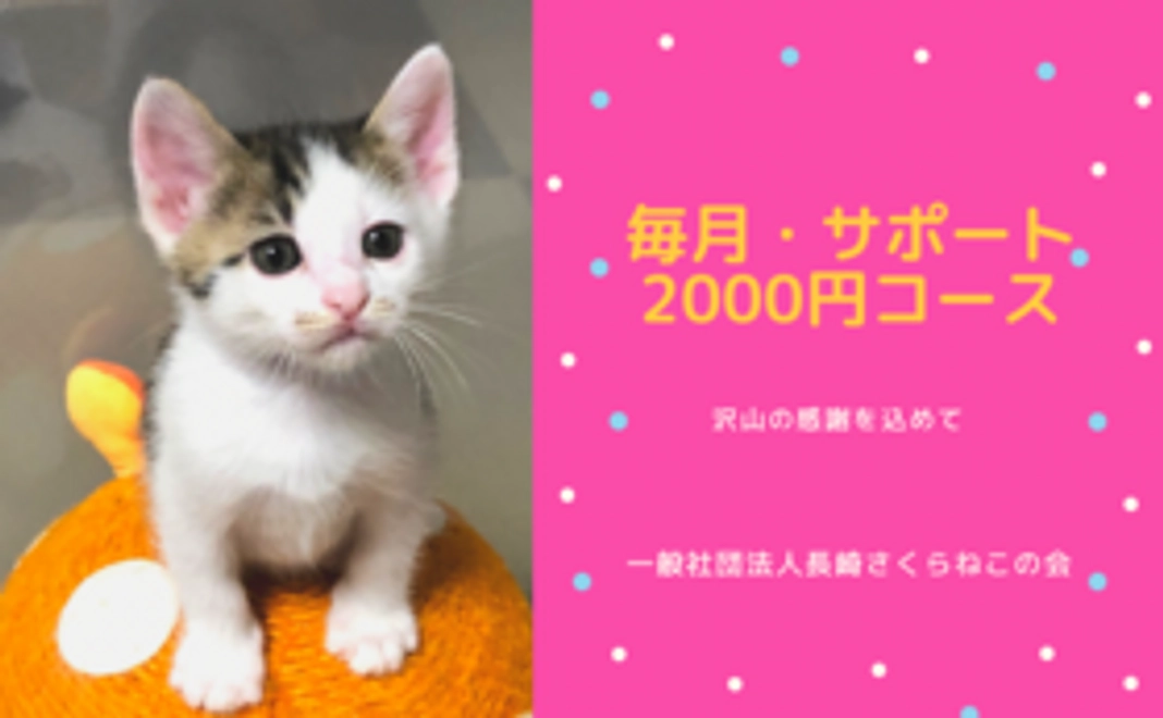 毎月サポート2000円コース